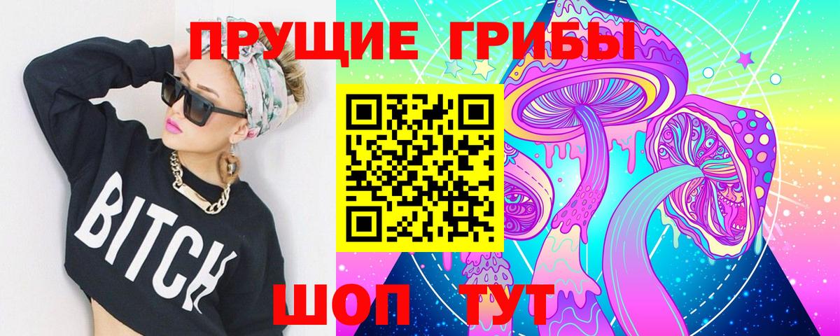 Киселёвск  Псилоцибиновые грибы GOLDEN TEACHER  Вход с VPN 