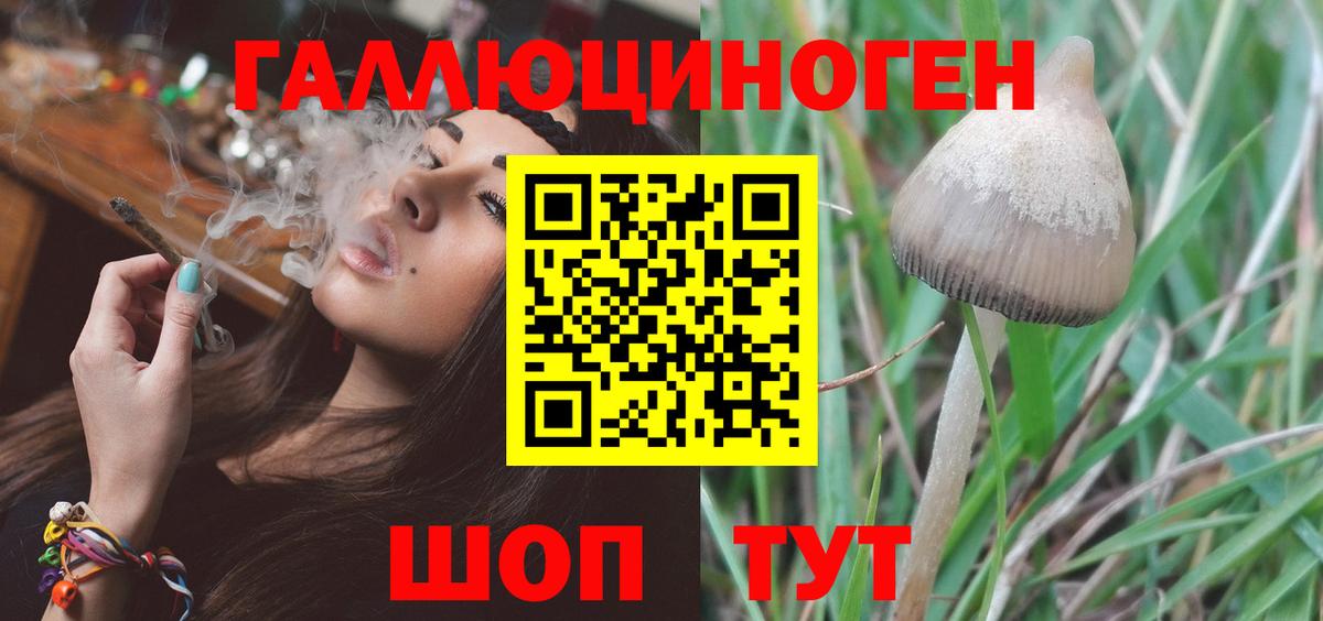 Галлюциногенные грибы ЛСД Киселёвск